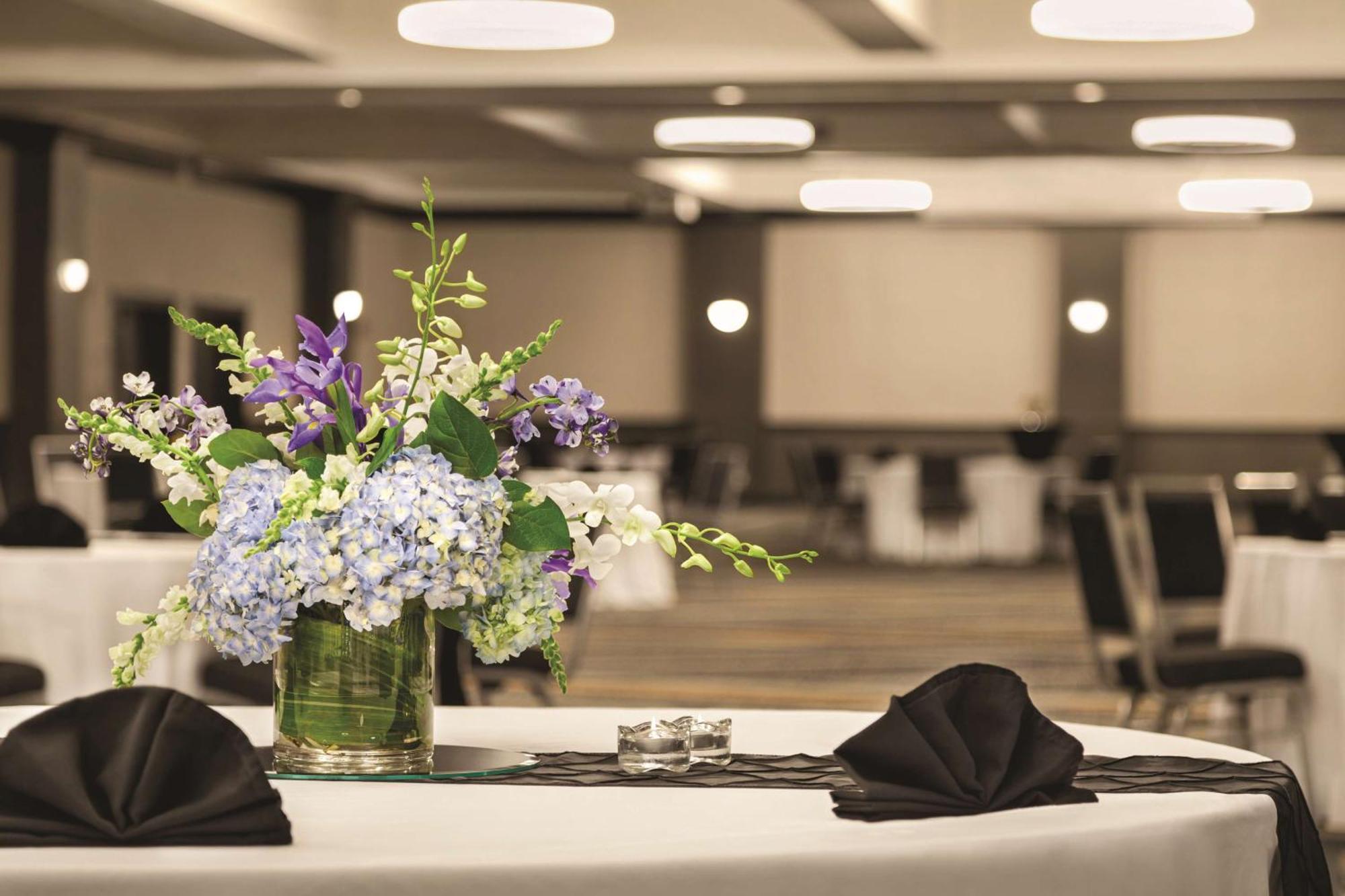 Hilton Knoxville Airport Alcoa Εξωτερικό φωτογραφία